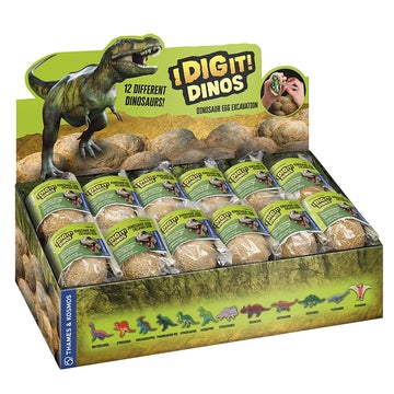 I Dig It! Dinosaur Egg