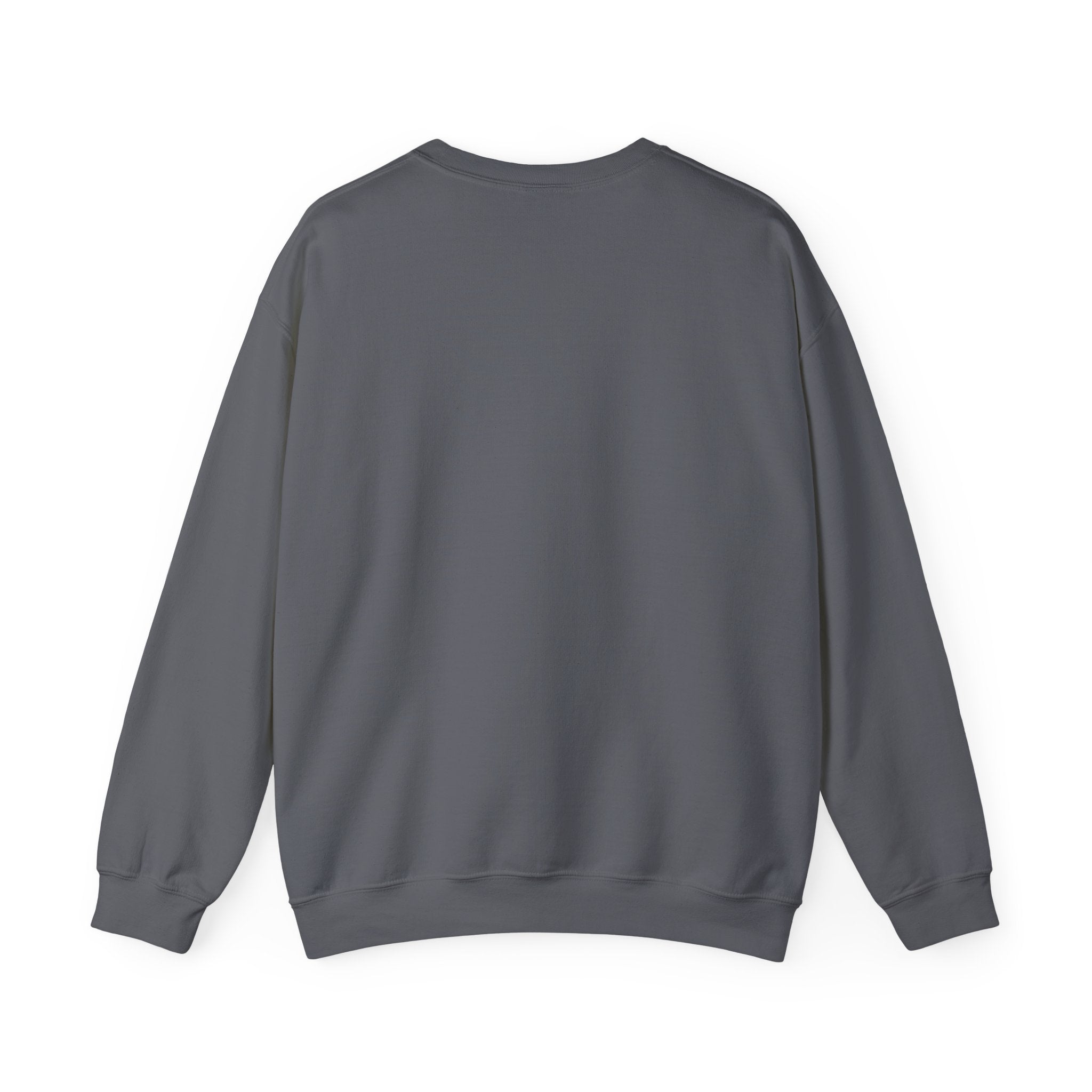 Crewneck Sweatshirt — "Motivation Is a Universal Language" Inspirational Pullover