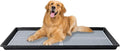 HQ4us Dog Pee Pad Holder Tray with Grate 45”×34”, Large Dog Litter Box Toilet, Puppy Pee Pad Holder, Less Mess, Dog Potty Indoor Outdoor for Balcony