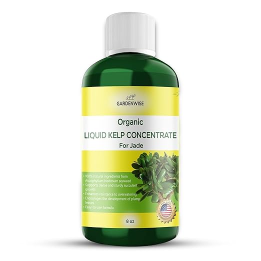 Organic Premium Kelp Seaweed Concentrate for Jade - Liquid Fertilizer - Liquid Plant Food - Nutrient-Rich Soil Enhancer - Natural Plant Food for Jade Plant (8 OZ), OLKC-16
