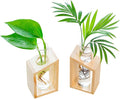 Ivolador Plant Propagation Station, Plant Propagation Tubes,Gifts for Plant Lovers,Plants Cutting Holder Office Desk Garden Décor Gifts for Mom Women Hydroponic Vase Gift Box