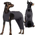 Kuoser Dog Surgery Recovery Suit - Thigh Wound Protective Sleeve for Female & Male Dogs, Pet Surgical Onesie for Spay/Neuter, Gray XL