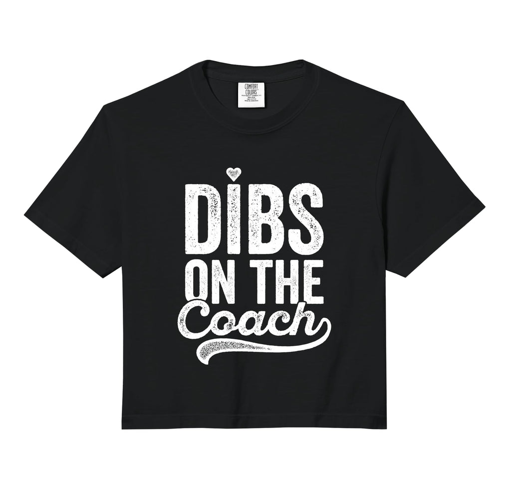 Dibs Coach Baseball Coachs Wife Comfort Hoodie - Graphic Print for Adults