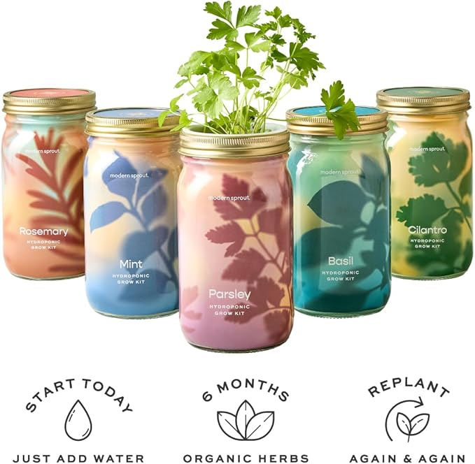 Modern Sprout Mason Garden Jar - Self-Watering Hydroponics Growing System Kit with Organic Herb Seeds - Jar Planter for Indoor Herb Garden - Seed Starter Kit - Home Decor & Gifting - Basil