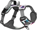 Embark Adventure Dog Harness, Reflective Trim No Pull Dog Harnesses for Small Sized Dogs - Military Grade Nylon, Front Clip with Gel Lined Handle. Soft & Padded Puppy