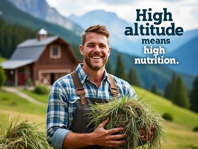 Blue Mountain Hay | Fresh Alfalfa Hay (48 Ounce) | High Leaf Retention | Nutritious High-Altitude Hay Pet Food for Rabbits, Guinea Pigs, Chinchillas, Hamsters, and Other Small Pets