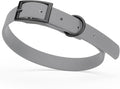 Dogline Biothane Waterproof Dog Collar Strong Coated Nylon Webbing with Black Hardware Odor- Proof for Easy Care Easy to Clean High Performance Fits Small Medium or Large Dogs, Battleship Gray