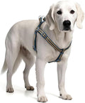 Stripe Step in Dog Harness for Small Dogs, Freedom Nylon Dog Halter Vests, Lightweight and Escape Proof Puppy Harness, Quick Fits for Small Medium and Large Dogs, Blue L