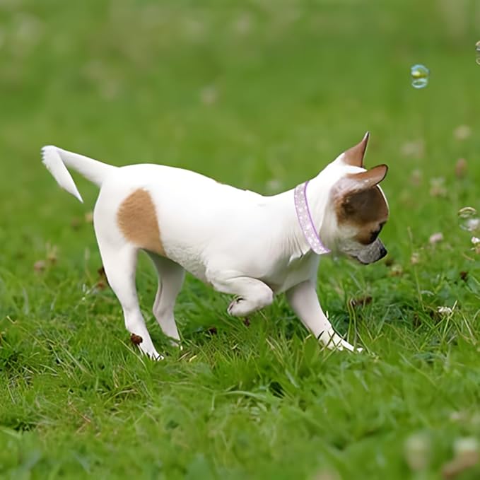 Small Dog Collar with Rhinestone Crystal Diamond Colorful Bling Girl Cat Collars Black M