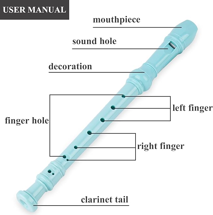 Recorder Instrument for Beginner Kids Adults,8-Hole Soprano Descant Recorder Music Flute with with Cleaning Rod & Leather Case For School Student Home Entertainment(2-Cactus)