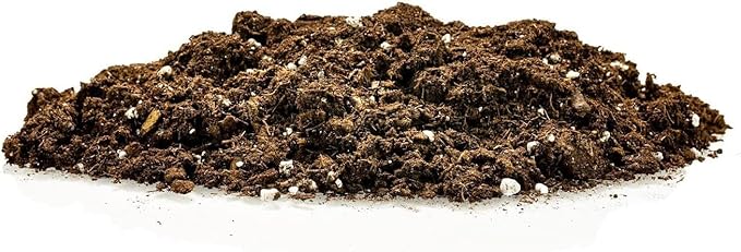 Citrus Tree Potting Soil Mix, Special Blend for Indoor Oranges, Lemons, Limes and More - (5 Quart Bag)