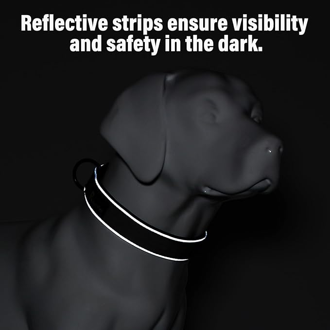 Plutus Pet Tactical Dog Collar, Reflective, Adjustable Heavy Duty Dog Collar, Soft Padded and Comfortable, for Small Medium and Large Dogs (Teal, M)