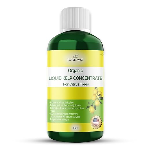 Organic Premium Kelp Seaweed Fertilizer: All-in-One Citrus Tree Fertilizer for Meyer Lemon, Lime, and Other Fruiting Trees - Liquid Plant Food for Potted & Outdoor Citrus Trees (8 OZ)