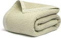 Salt Earth GOTS Certified 100% Organic Cotton Throw Blanket, 108" X 90" Waffle Blankets & Throws for Bed, Throw Blanket for Couch, Modern & Cozy Blanket, All Seasons, Comfy & Soft Blanket (Sea Foam)