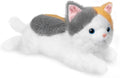 19 inch 3 lbs Cat Weighted Stuffed Animals, Realistic Weighted Cat Stuffed Animal, Sensory Comfort Plush Throw Pillow, Soft Kawaii Kitty Plush Toy Gift for Adults Kids Youth