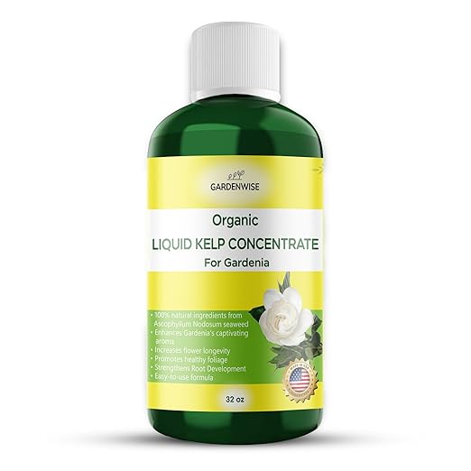 Organic Premium Kelp Seaweed Fertilizer for Gardenia - Liquid Fertilizer - Liquid Plant Food - Nutrient-Rich Soil Enhancer - Natural Plant Food for Gardenia Plant (32 OZ)