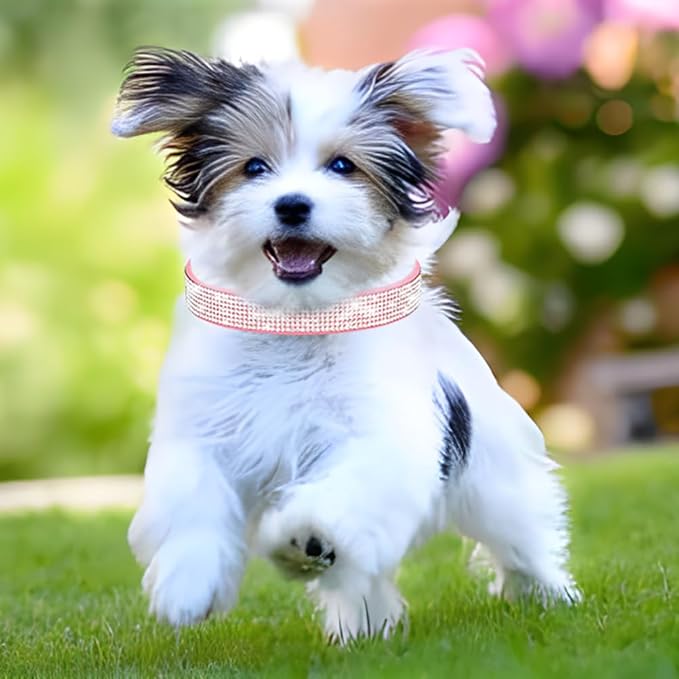 Rhinestone Dog Collar for Small Dogs, Bling Diamond Fancy Crystal Glitter Pretty Jewel Pet Puppy Collars for XXS XS Small Medium Large Breed Girl Dogs Female Cats Kitten, Blue XSmall