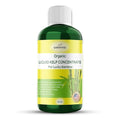 Organic Premium Kelp Seaweed Fertilizer for Lucky Bamboo - Liquid Plant Food - Hydroponics - Soil Enhancer - Natural (32 OZ)
