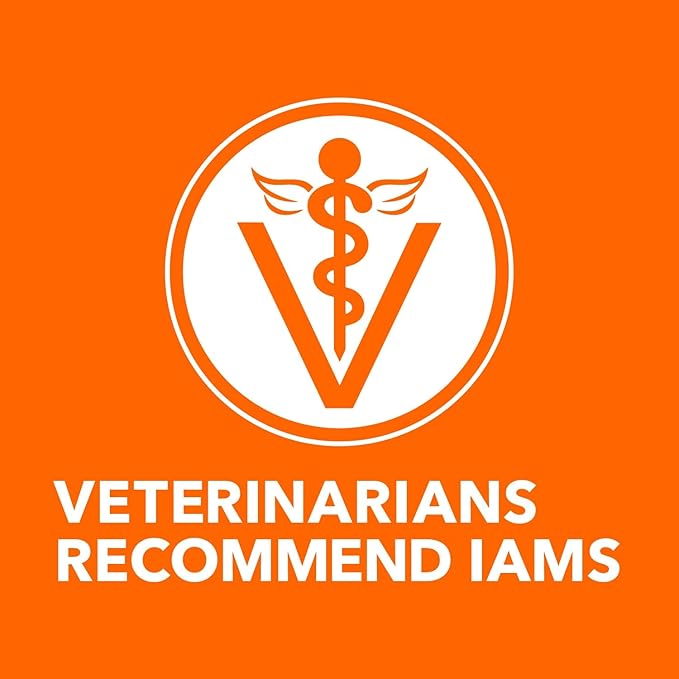 IAMS Proactive Health Adult Healthy Dry Cat Food with Real Salmon, 3.5 lb. Bag