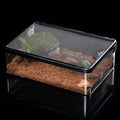 Reptile Feeding Box Snake cage Clear Terrarium for Snake Geckos Frog Lizards Chameleons Serpents Snake Scorpion Snail Insect Hermit Crab Isopods Reptiles Enclosure (12.6x8.6x3.9inch)