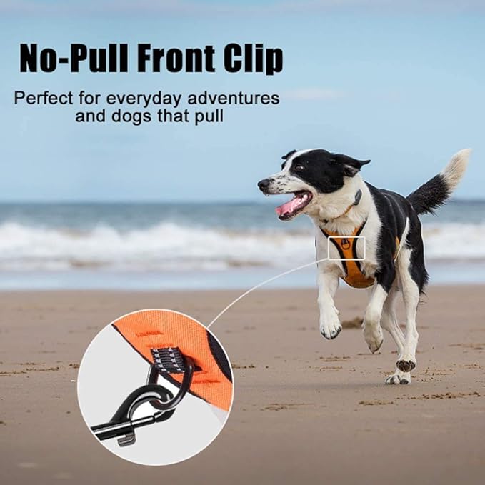 PoyPet No Pull Dog Harness, Reflective Comfortable Vest Harness with Front & Back 2 Leash Attachments and Easy Control Handle Adjustable Soft Padded Pet Vest for Small to Large Dogs (Orange,M)