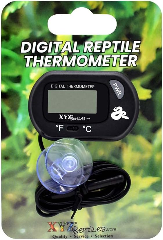 Boa Constrictor Habitat 10 Gallon Terrarium Kit