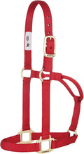 Weaver Equine Nylon Horse Halter, Triple-Ply Cheek Design, Original Non Adjustable Halters for Horses, Equine Tack,Average Size, Black