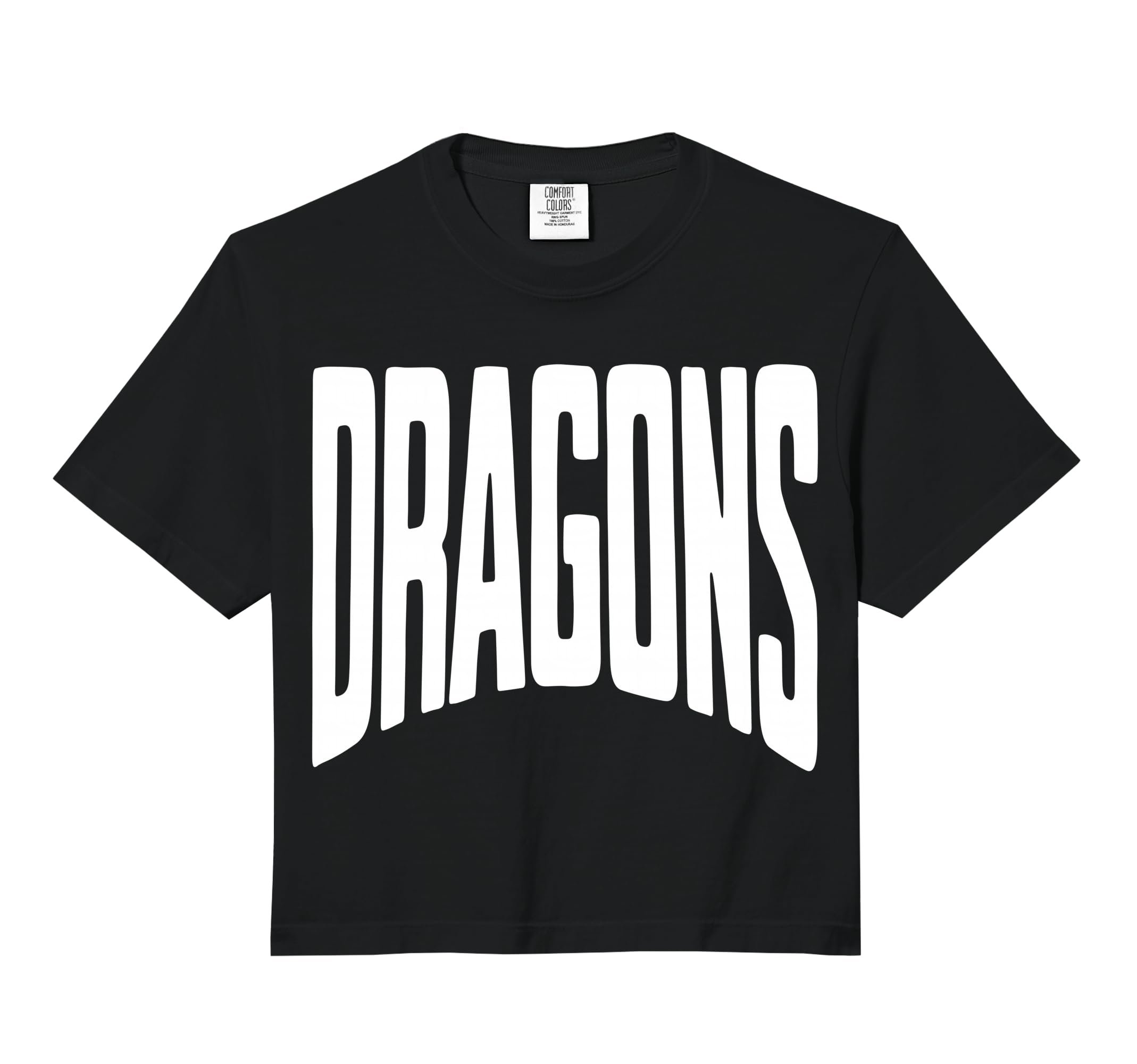 Dragons Team Mascot School Spirit T-Shirt - Custom Art Print for Adults