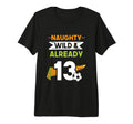 Naughty Wild Already 13 Birthday Soccer T-Shirt - Streetwear Style Unisex