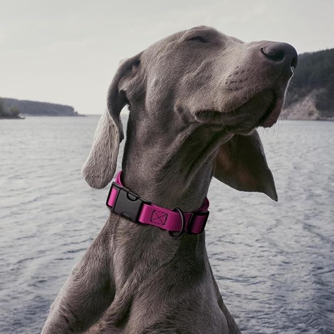 Dogline Biothane Waterproof Dog Collar with Quick Release Buckle Strong Coated Nylon Webbing with Odor- Proof for Easy Care Easy to Clean Fits Small Medium Large Dogs, Magenta Pink 3/4" W 12-19" L