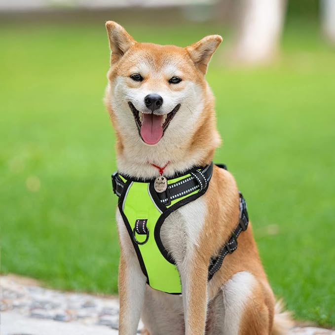 PoyPet No Pull Dog Harness, Reflective Comfortable Vest Harness with Front & Back 2 Leash Attachments and Easy Control Handle Adjustable Soft Padded Pet Vest for Small to Large Dogs (Green,L)