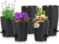 12 Pack 4 Inch Self Watering Plant Pots with Drainage and Saucers，Plastic Flower Pots for Indoor and Outdoor Plants, Nursery Planters for Houseplants and Herbs Black, 4 inch 12pcs