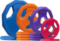 SPART Color Coded Weight Plate 2-Inch Rubber Coated Olympic Grip Plate for Barbell, Solid Cast Iron Weight Plates for Strength Training, Weightlifting, Crossfit, Home Gym, 2.5LB/5LB/10LB/25LB/35LB/45LB, Pair