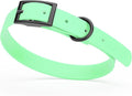 Dogline Biothane Waterproof Dog Collar Strong Coated Nylon Webbing with Black Hardware Odor- Proof for Easy Care Easy to Clean High Performance Fits Small Medium or Large Dogs, Sea Foam Green
