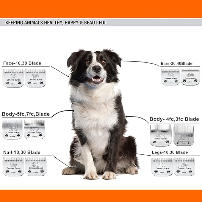 2PC 4FC Blade Detachable Pet Clipper Replacement Blades Compatible with Andis Pet Clipper/Oster A5/Wahl KM Series Dog Clipper,Ceramic Blade & Stainless Steel Blade
