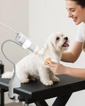 2-in-1 Hands-Free Dog Hair Dryer with Table Clamp – Low Noise Pet Grooming Dryer for Dogs & Cats, Adjustable Heat & Speed, Wearable or Desktop Use(Gray)