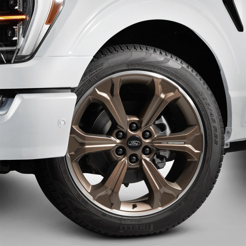 Ford Racing 15-23 F-150 22in Wheel Kit - Sinister Bronze M-1007K-S2295SB