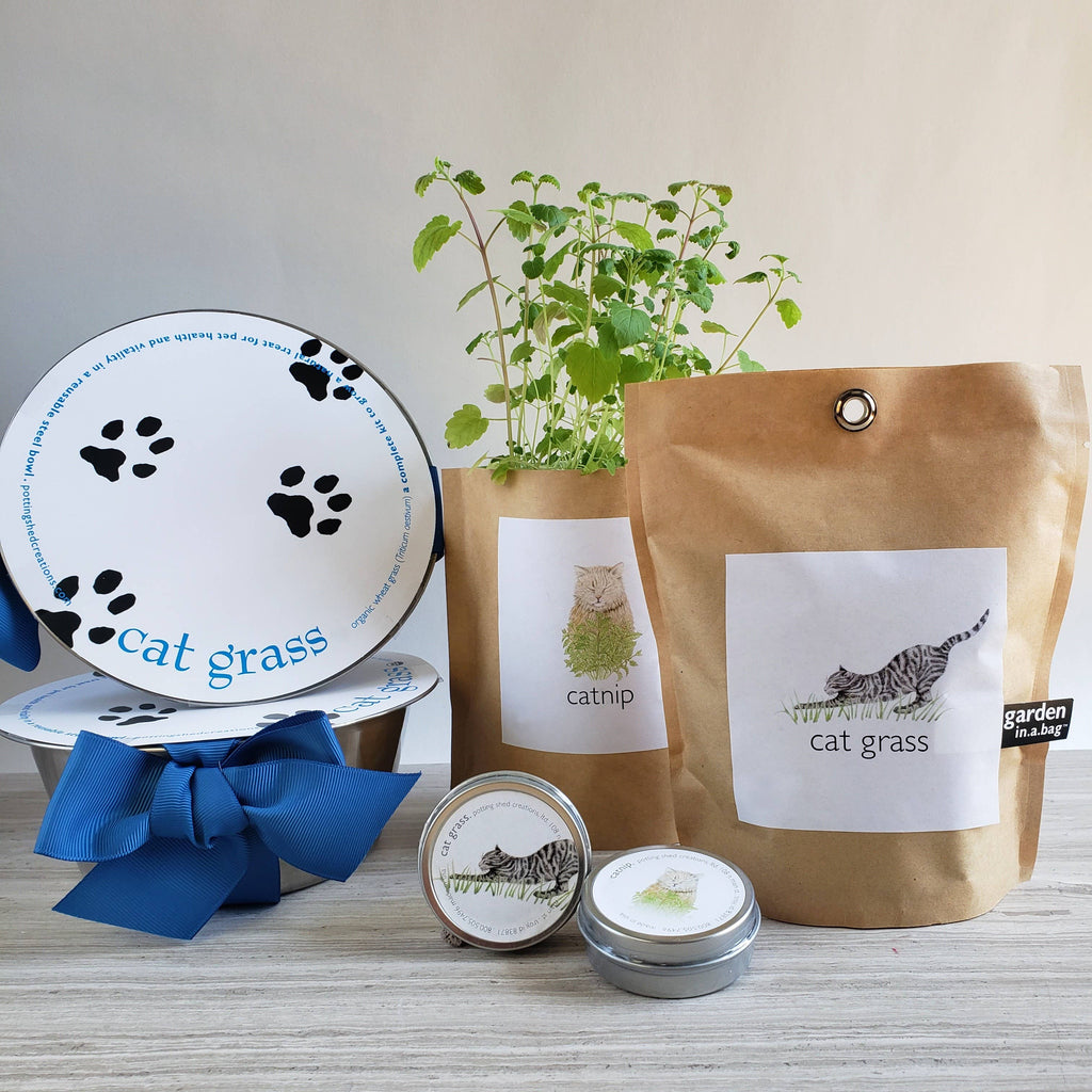🐱🌱Garden in a Bag | Cat Grass | Spring Pet Treat Gift