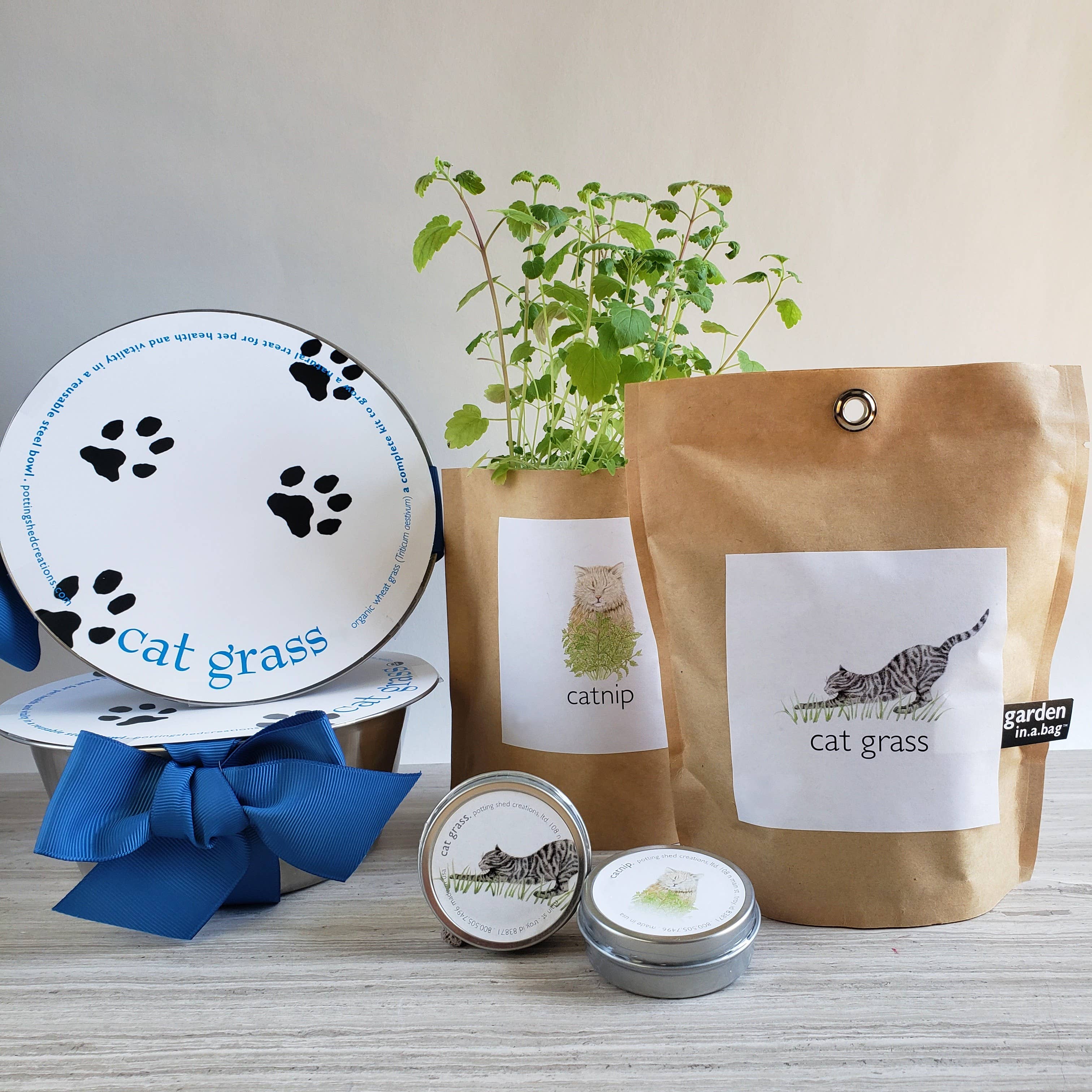 🐱🌱Garden in a Bag | Cat Grass | Spring Pet Treat Gift