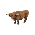 Highland Bull