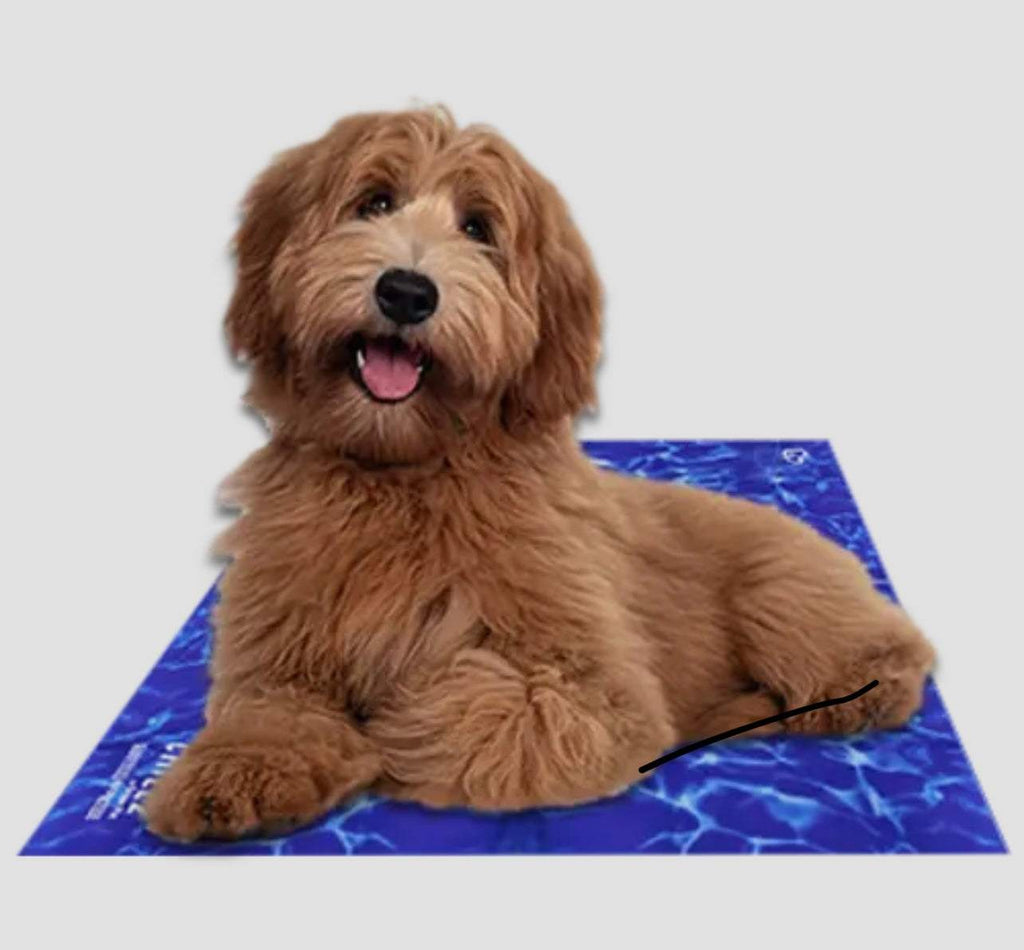 ❄️🐾 Chillz™ Gel Cooling Mat for Dogs & Cats