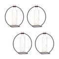 Modern Hanging Bottle Vase in Circle Stand (Set of 4)