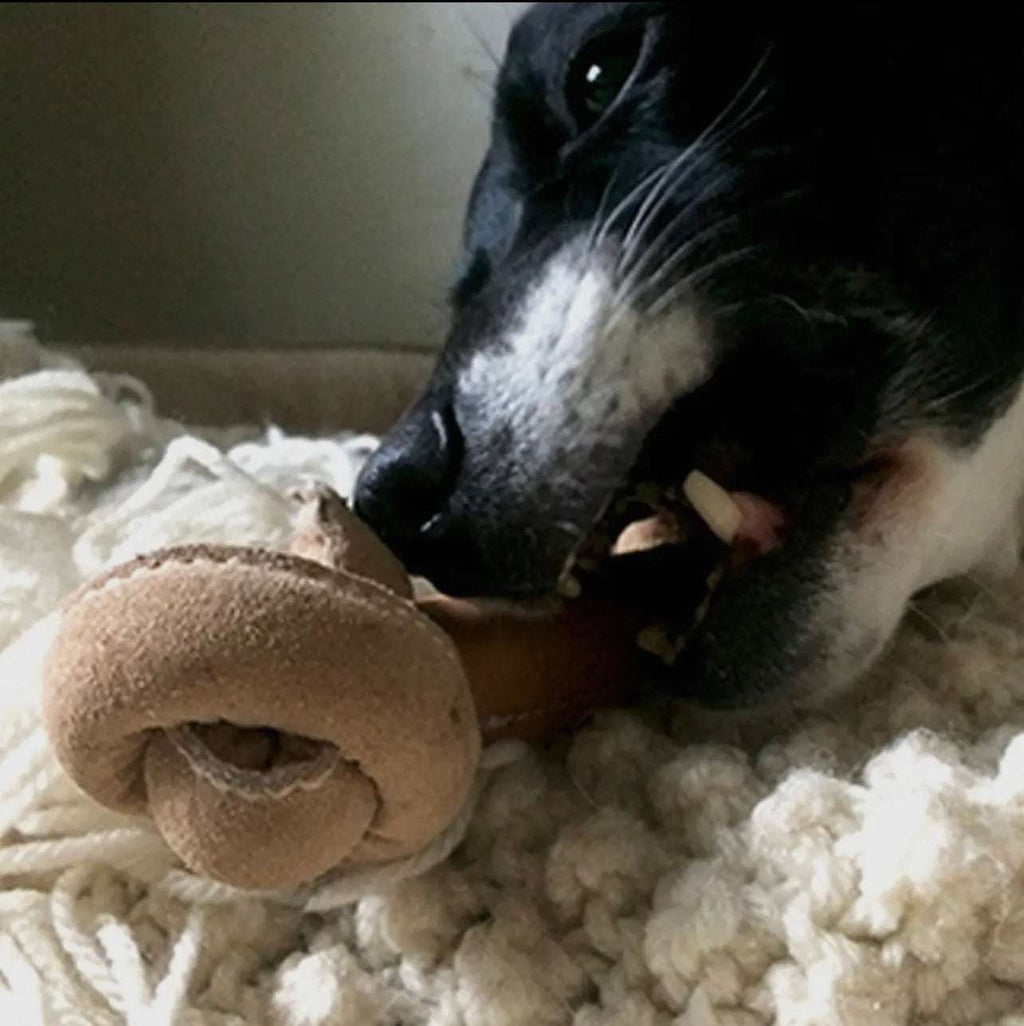 🦴🐾 Huggle-Hide Natural Leather Knotted Toy
