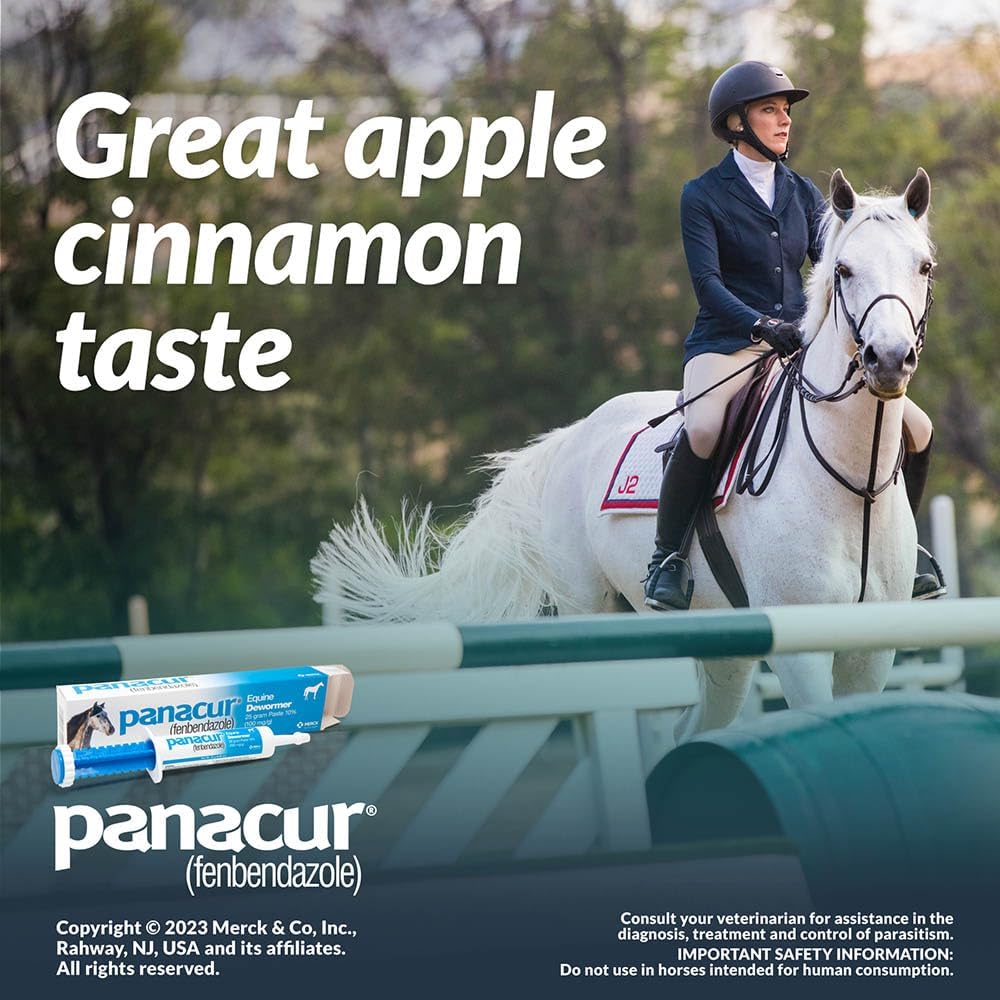 Panacur Equine Dewormer Paste 10% Fenbendazole – 3-Pack | Apple-Cinnamon