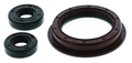 QuadBoss, QuadBoss Oil Seal Set for Polaris ACE 900 SP/XC and More – Part 564239