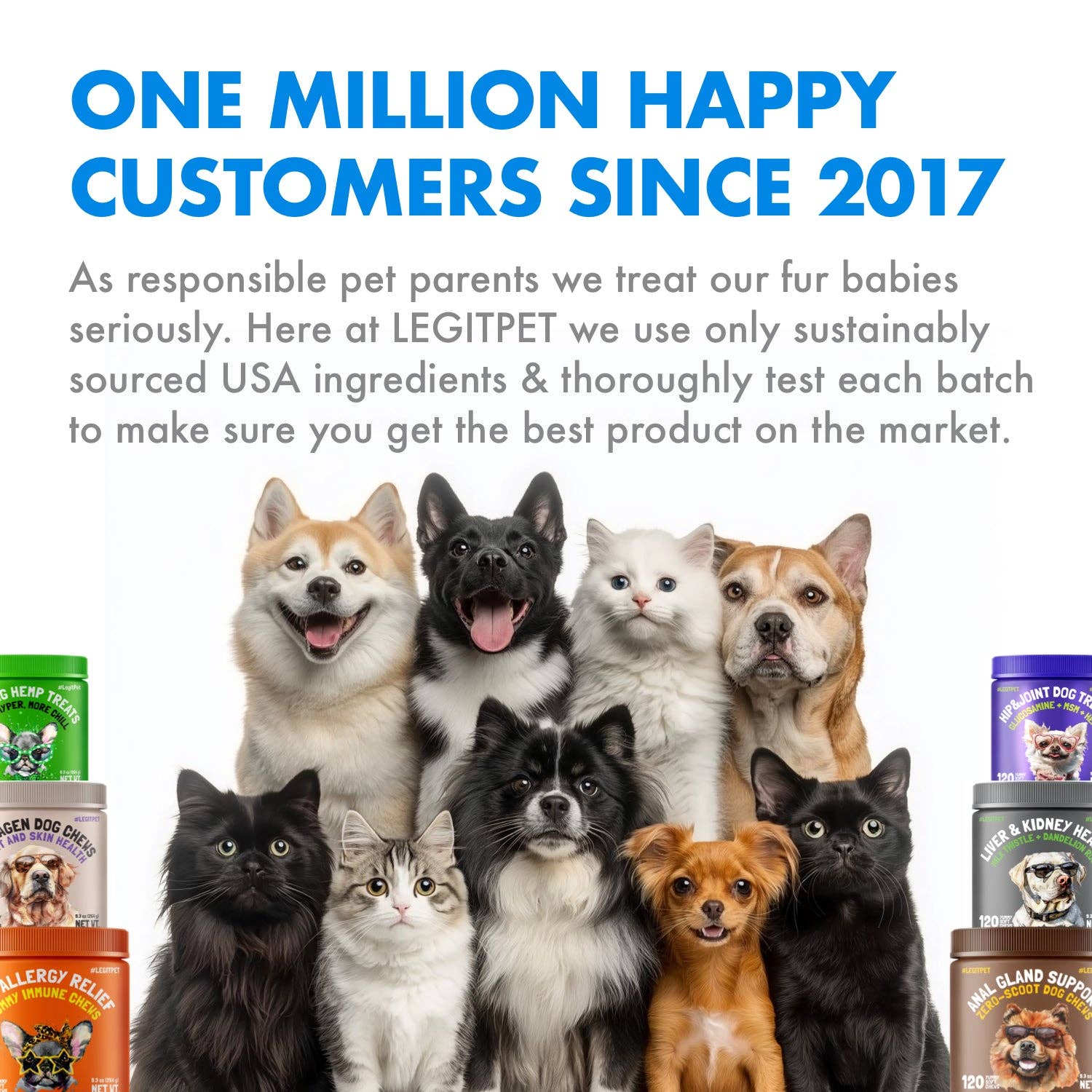 ❤️Multivitamin Cat Treats