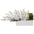 Dancing Lady Orchid in Rectangular Ceramic