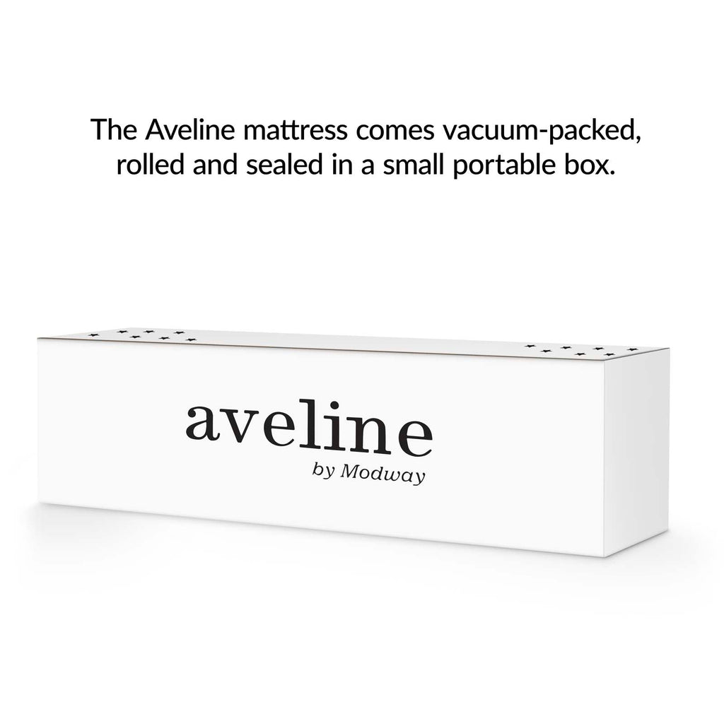 Aveline 6" Twin Mattress by Modway