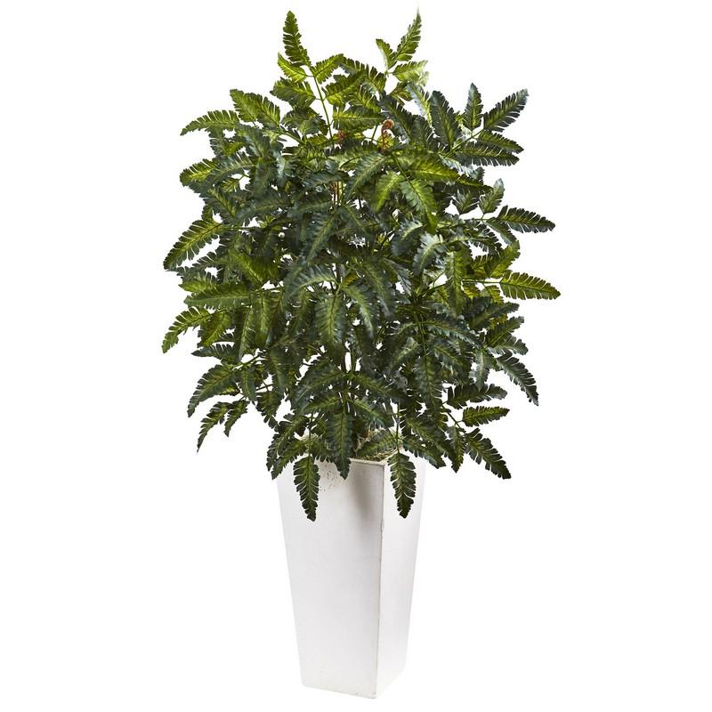 Bracken Fern with White Planter