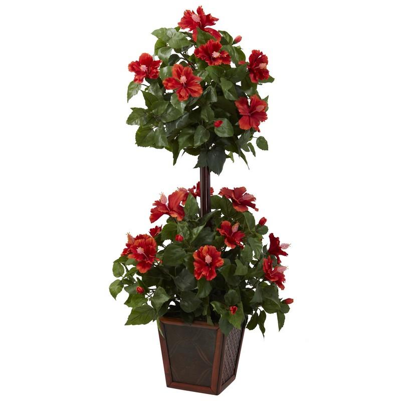 39' Hibiscus Topiary
